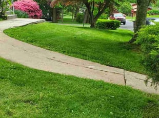 Loida C.'s Lawn Care service result