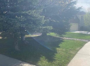 Margie S.'s Lawn Service service result