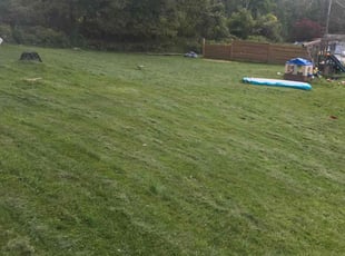 Trang T.'s Lawn Service service result
