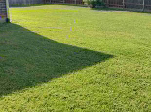 Cleanups by John Brown for Ernest C. in McKinney, TX