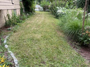 Rick B.'s Grass Cutting service result