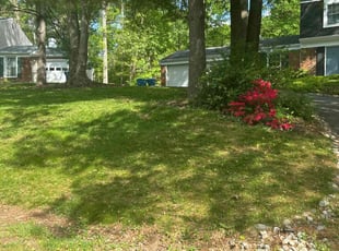Jose T.'s Lawn Care service result