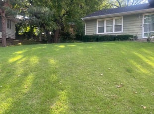 Wesley K.'s Lawn Service service result