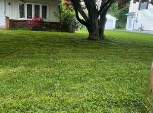Purvis E.'s Lawn Mowing Service service result