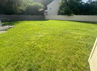 Sherry S.'s Lawn Service service result