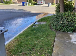 Leaf Removal by Alex Rodriguez for Keithan B. in Clovis, CA