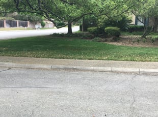 Cleanups by Chaes Pate for Ray S. in San Antonio, TX