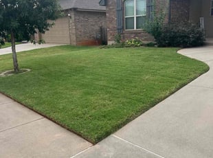 Jonathan P.'s Yard Cutting service result