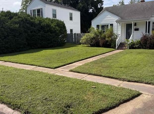 Tam J.'s Grass Cutting service result