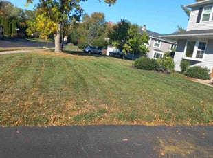 Eddie t.'s Lawn Care service result