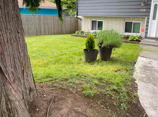 Cleanups by Clint Herron for Aaron S. in Everett, WA