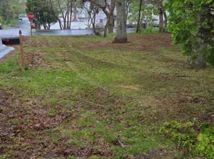 Leaf Removal by Miriam Mayoral-Gress for Sal K. in Mastic, NY