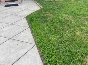 Danny M.'s Lawn Mowing service result