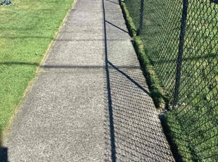 Ray S.'s Lawn Mowing service result