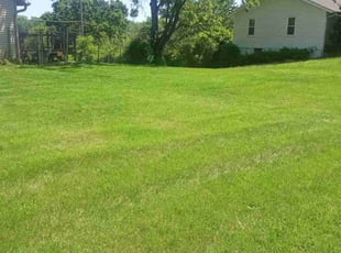 Garrett C.'s Lawn Mowing service result