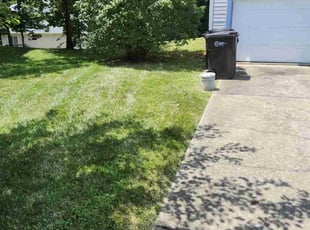Lissa L.'s Lawn Mowing Service service result
