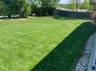 KISHA C.'s Lawn Care service result