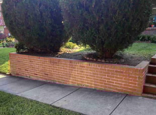 Bush Trimming by Christopher Sandoval for Jessica C. in Washington, DC