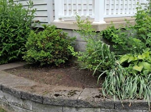 Weeding by Peter Conley for Anna S. in Akron, OH