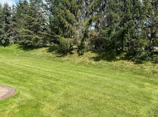 Vince M.'s Yard Cutting service result