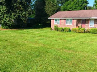Steve B.'s Lawn Service service result