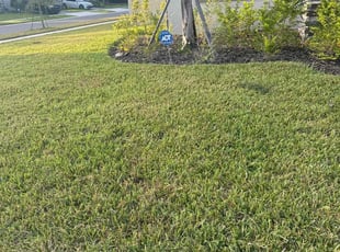 Avonlea D.'s Yard Cutting service result