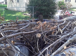 Cleanups by Lamonee Jackman for Jensyn B. in Omaha, NE