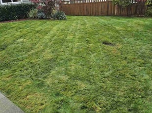 Timothy A.'s Lawn Mowing Service service result