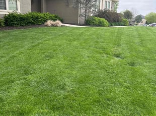 Greg P.'s Lawn Care service result