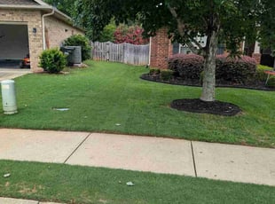 Marc B.'s Lawn Service service result
