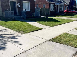Lisa H.'s Lawn Mowing service result