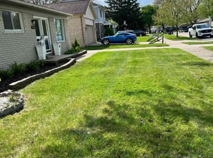 Ashaun D.'s Grass Cutting service result