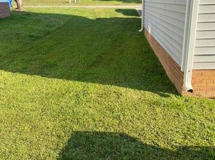 Alberta S.'s Lawn Mowing service result