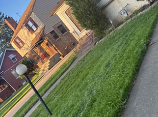 Robert L.'s Lawn Service service result