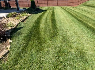 Linda H.'s Yard Cutting service result