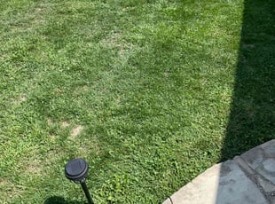 Carl S.'s Lawn Maintenance service result