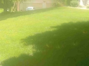 Adrina R.'s Lawn Service service result