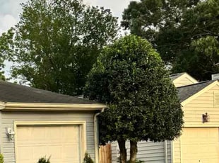 Bush Trimming by Joe Buckley for Alishas M. in Chesapeake, VA