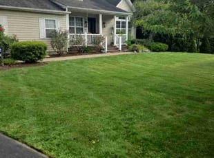 Gloria G.'s Lawn Care service result