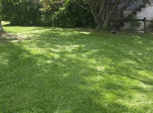 Jasmine W.'s Lawn Maintenance service result