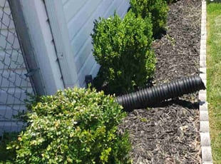 Bush Trimming by Bryan Osment for Nancy R. in Taylors, SC