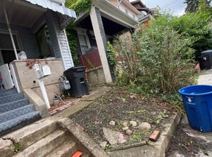 Bush Trimming by Vincent Daniele for Lewis B. in Pittsburgh, PA