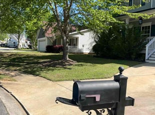 Randolf P.'s Lawn Mowing service result