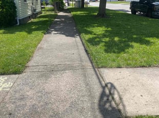 David P.'s Lawn Service service result