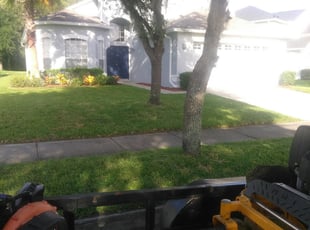 Maribel G.'s Lawn Service service result