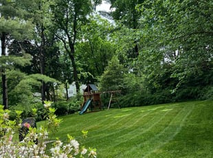 Maria S.'s Yard Cutting service result