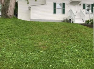 Chandra P.'s Lawn Mowing Service service result