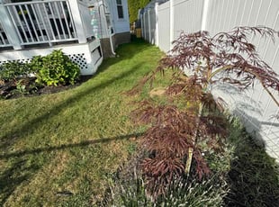 Maurice B.'s Lawn Mowing service result