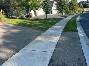 Lizette J.'s Grass Cutting service result