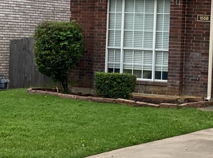 Bush Trimming by Quentin Morgan for Paula D. in Grapevine, TX
